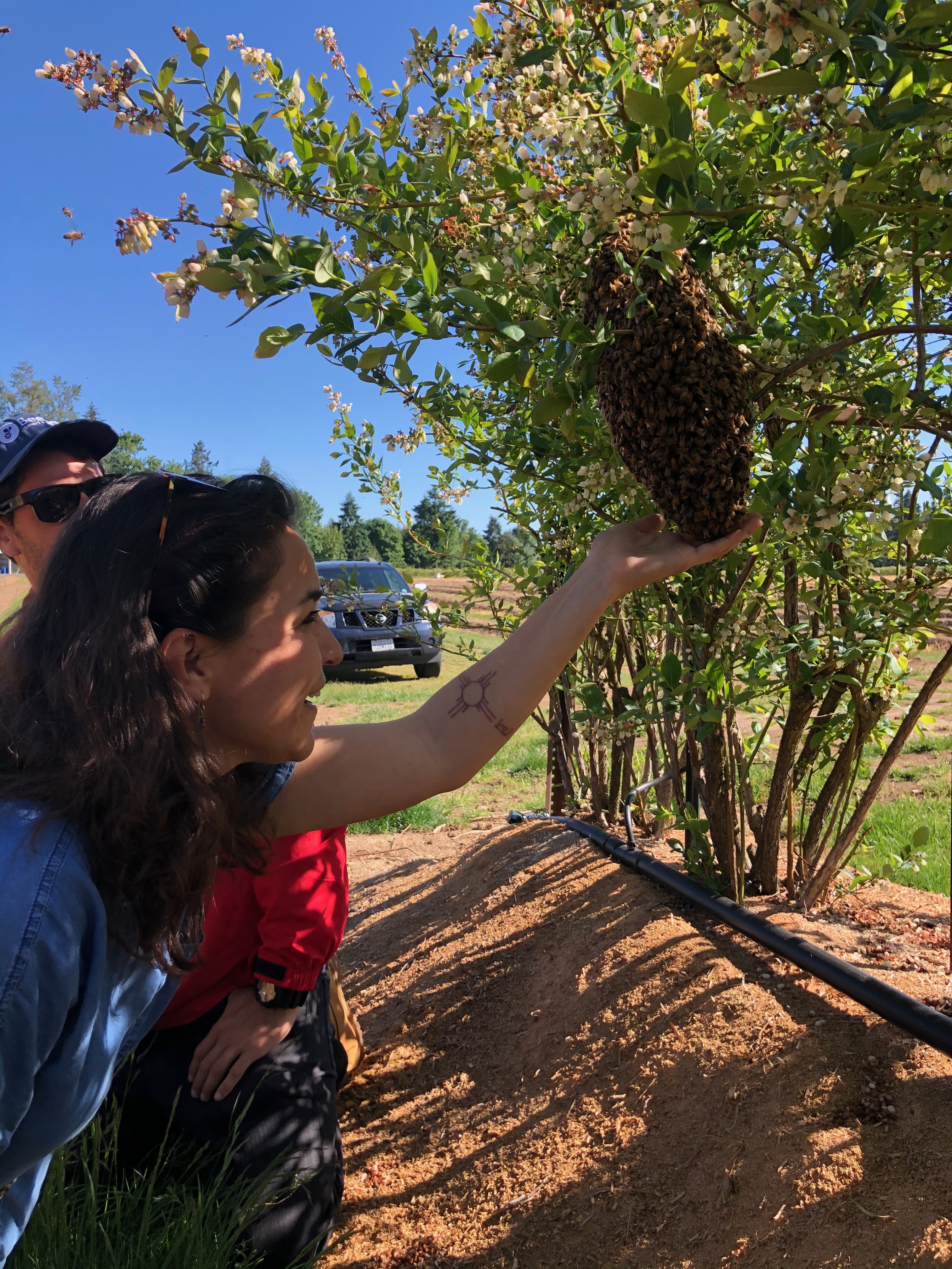Field photo 8